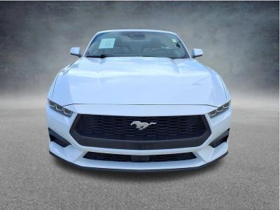 2024 Ford Mustang — interior view