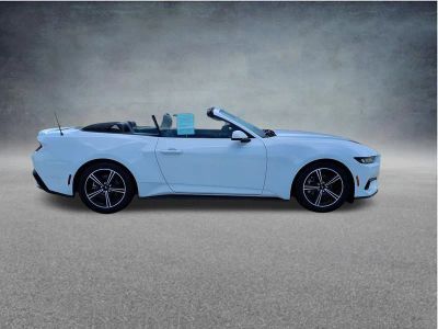 2024 Ford Mustang EcoBoost Premium in Oxford White — front three-quarter view