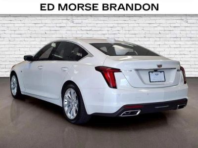2025 Cadillac CT5 — rear three-quarter view
