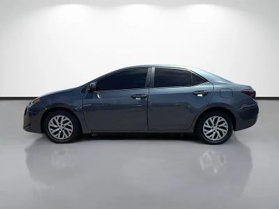 2019 Toyota Corolla — detail view