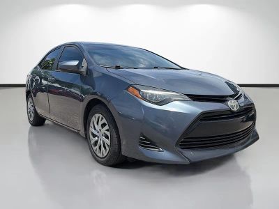 2019 Toyota Corolla LE in Gray — front three-quarter view