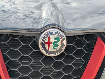 2019 Alfa Romeo Stelvio — photo 13 view