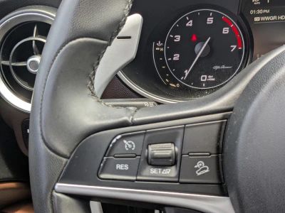 2019 Alfa Romeo Stelvio — photo 32 view