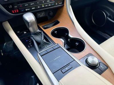 2022 Lexus RX - Photo 29