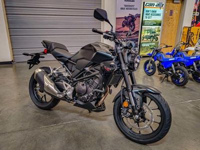 2025 Honda CB300R - Photo 2