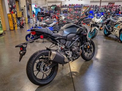 2025 Honda CB300R - Photo 4