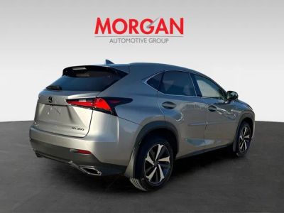 2019 Lexus NX — rear three-quarter view