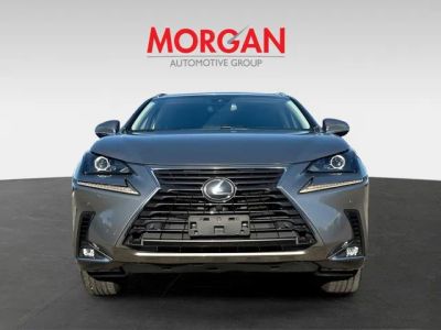 2019 Lexus NX — photo 8 view