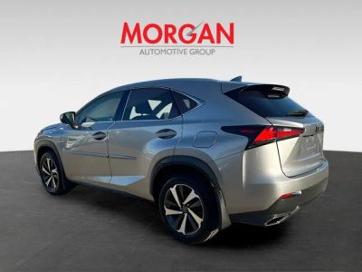 2019 Lexus NX — detail view
