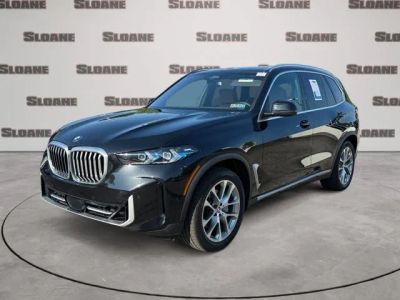 2025 BMW X5 — rear three-quarter view