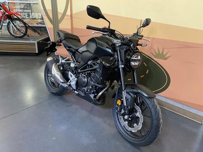 2025 Honda CB300R - Photo 1
