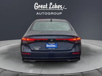 2024 Honda Accord — interior view
