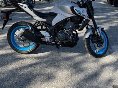 2025 Yamaha MT-03 - Photo 7