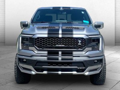 2025 Ford F-150 — side profile view