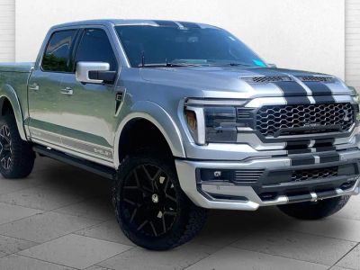 2025 Ford F-150 LARIAT in Gray — front three-quarter view