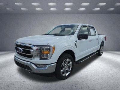 2021 Ford F-150 — rear three-quarter view