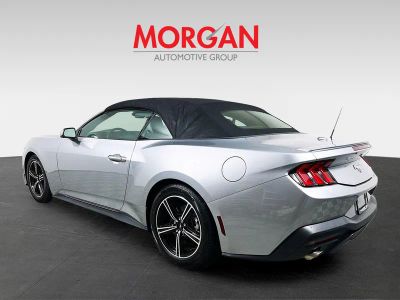 2024 Ford Mustang — detail view