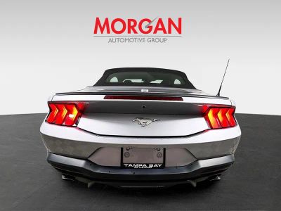 2024 Ford Mustang — interior view