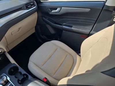 2021 Ford Escape Hybrid — photo 15 view