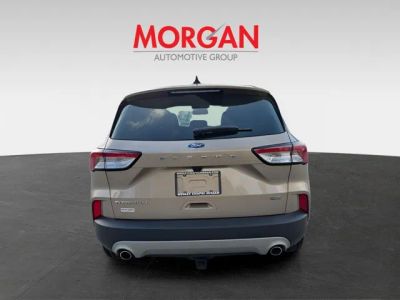 2021 Ford Escape Hybrid — engine compartment view
