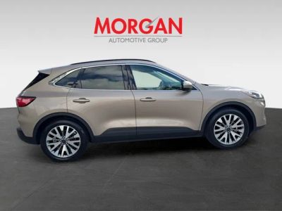 2021 Ford Escape Hybrid — photo 8 view
