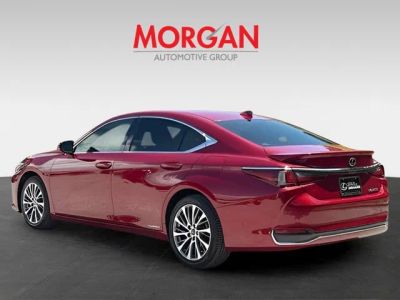 2019 Lexus ES — detail view