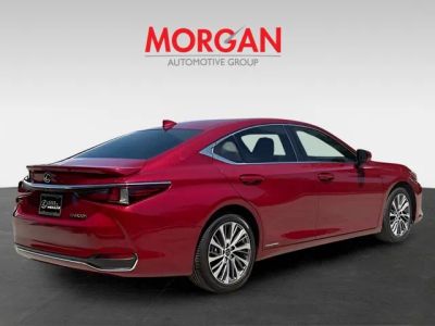 2019 Lexus ES — rear three-quarter view