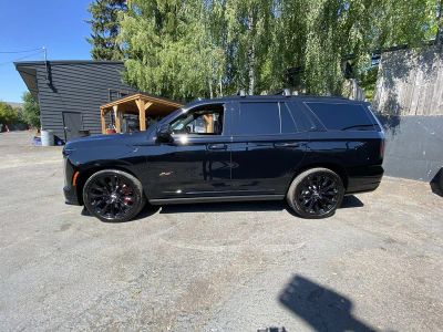 2026 Cadillac Escalade — rear three-quarter view