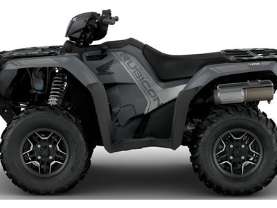 2026 Honda FourTrax Foreman Rubicon 4x4 Automatic DCT EPS Deluxe - Photo 3