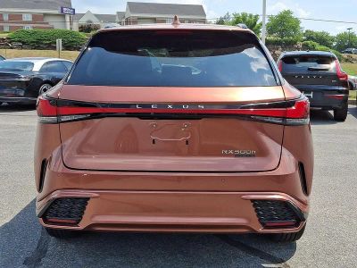 2023 Lexus RX 500h — detail view