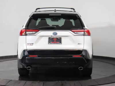 2023 Toyota RAV4 Prime - Photo 4