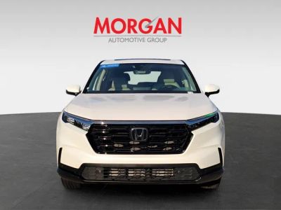 2026 Honda CR-V — side profile view
