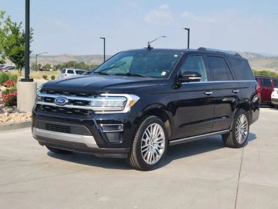 2022 Ford Expedition Limited in Other — front three-quarter view