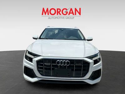 2023 Audi Q8 — side profile view