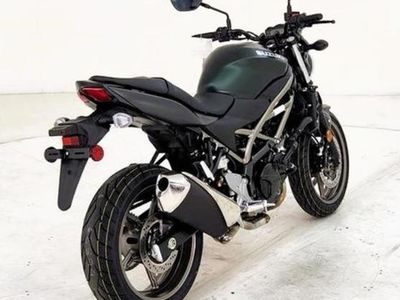 2025 Suzuki SV650 ABS - Photo 7