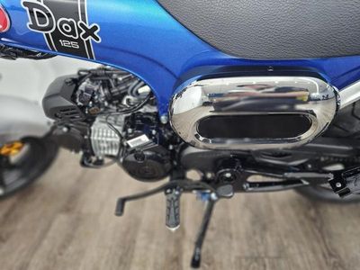 2025 Honda Dax 125 - Photo 10