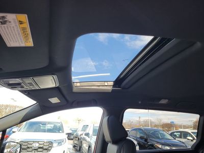 2026 Honda Odyssey Sport-L Auto — photo 17 view