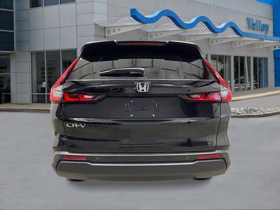 2026 Honda CR-V - Photo 4