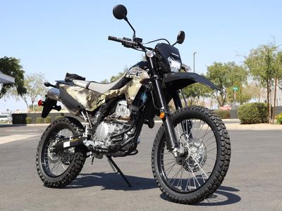 2026 Kawasaki KLX300 Cypher Camo Beige - Photo 2
