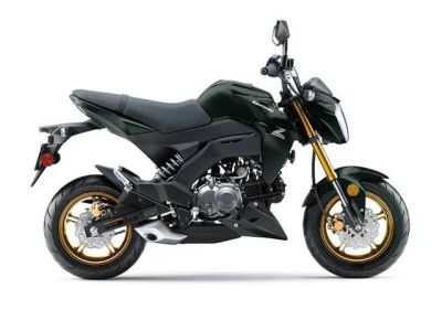 2025 Kawasaki Z125 PRO — front three-quarter view
