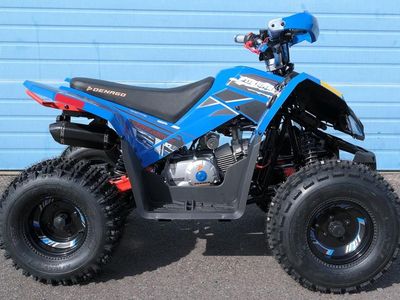 2026 Denago Powersports Trailhawk 10 FI - Photo 6