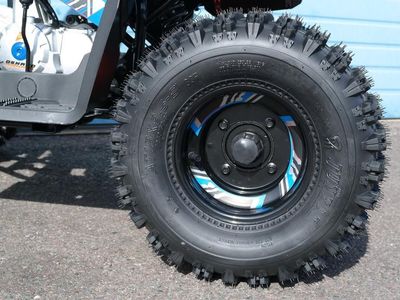 2026 Denago Powersports Trailhawk 10 FI - Photo 13
