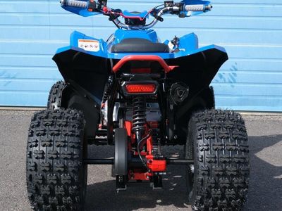 2026 Denago Powersports Trailhawk 10 FI - Photo 4