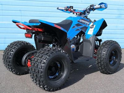 2026 Denago Powersports Trailhawk 10 FI - Photo 5