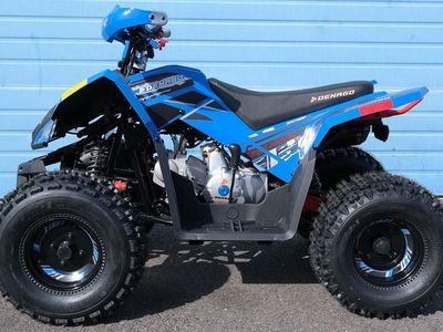2026 Denago Powersports Trailhawk 10 FI - Photo 2