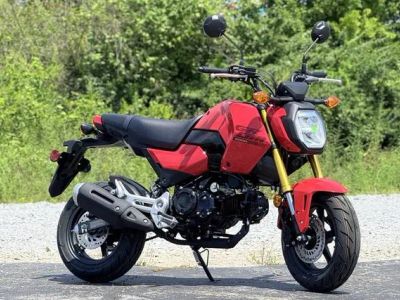 2026 Honda® Grom — front three-quarter view