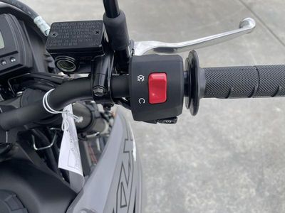 2025 Kawasaki KLX300SM - Photo 12