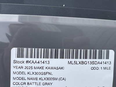 2025 Kawasaki KLX300SM - Photo 5