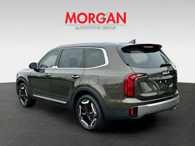 2025 Kia Telluride — detail view