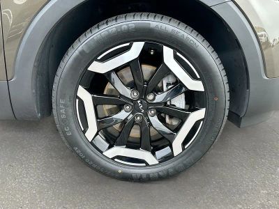 2025 Kia Telluride — photo 33 view